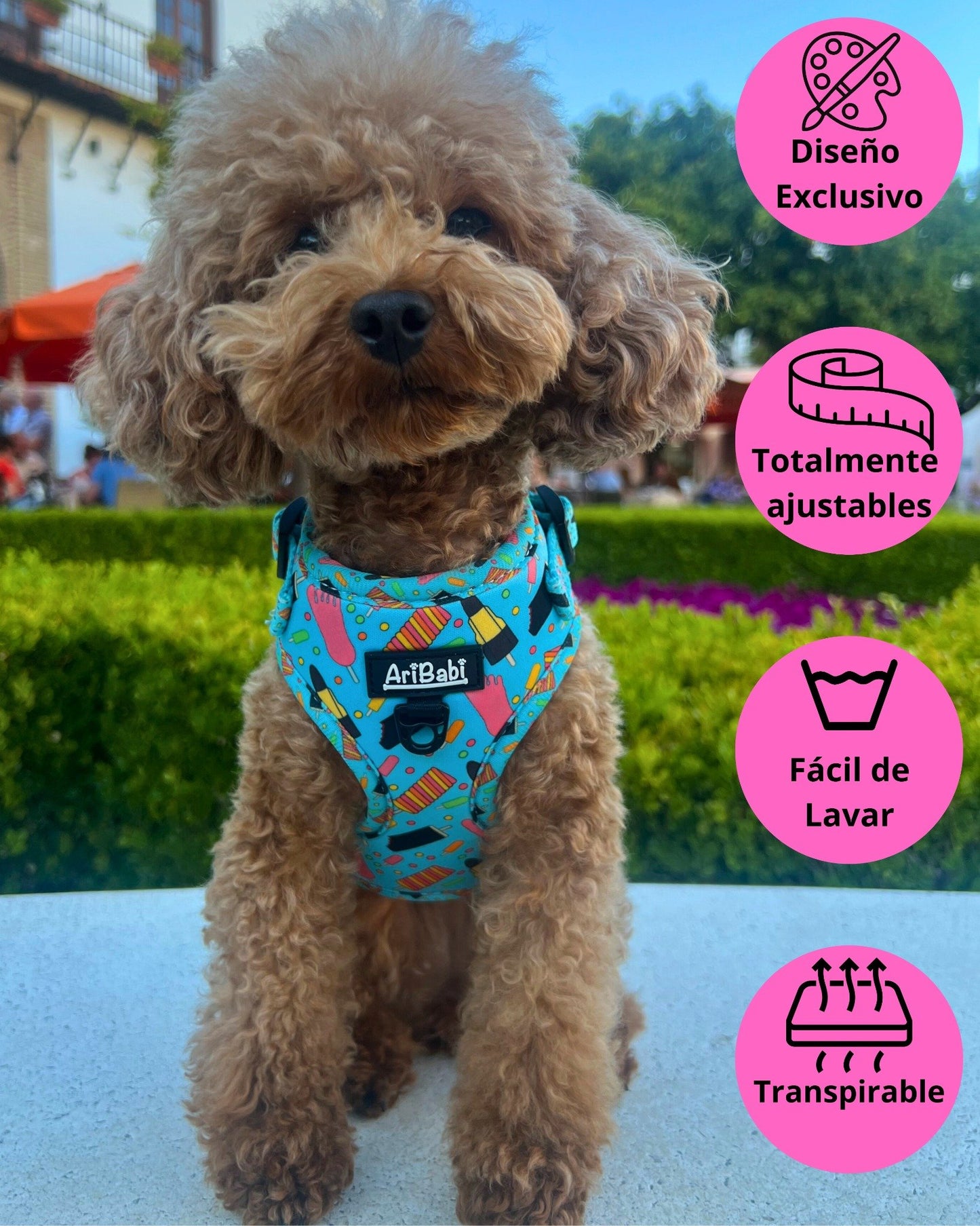 arnés para perros para verano