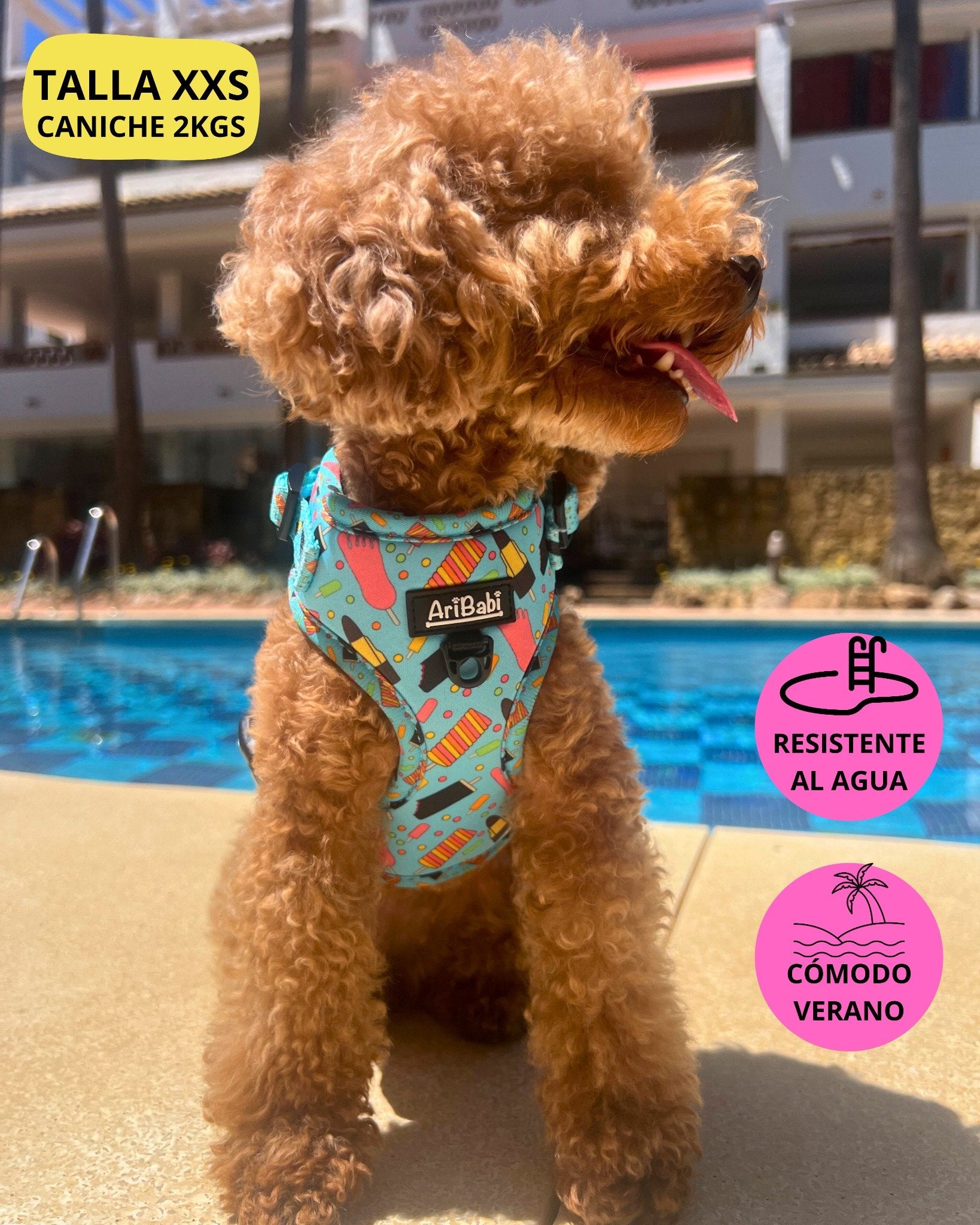 Arnés verano para caniche perro pequeño