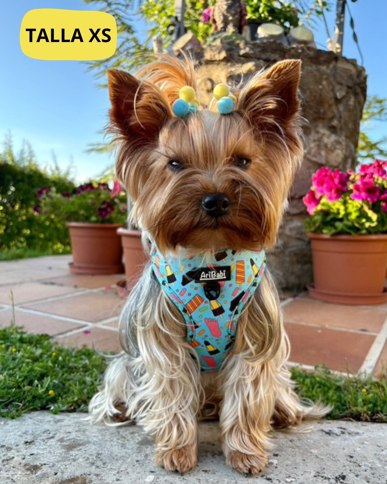 Arnes para Yorkshire perro pequeño