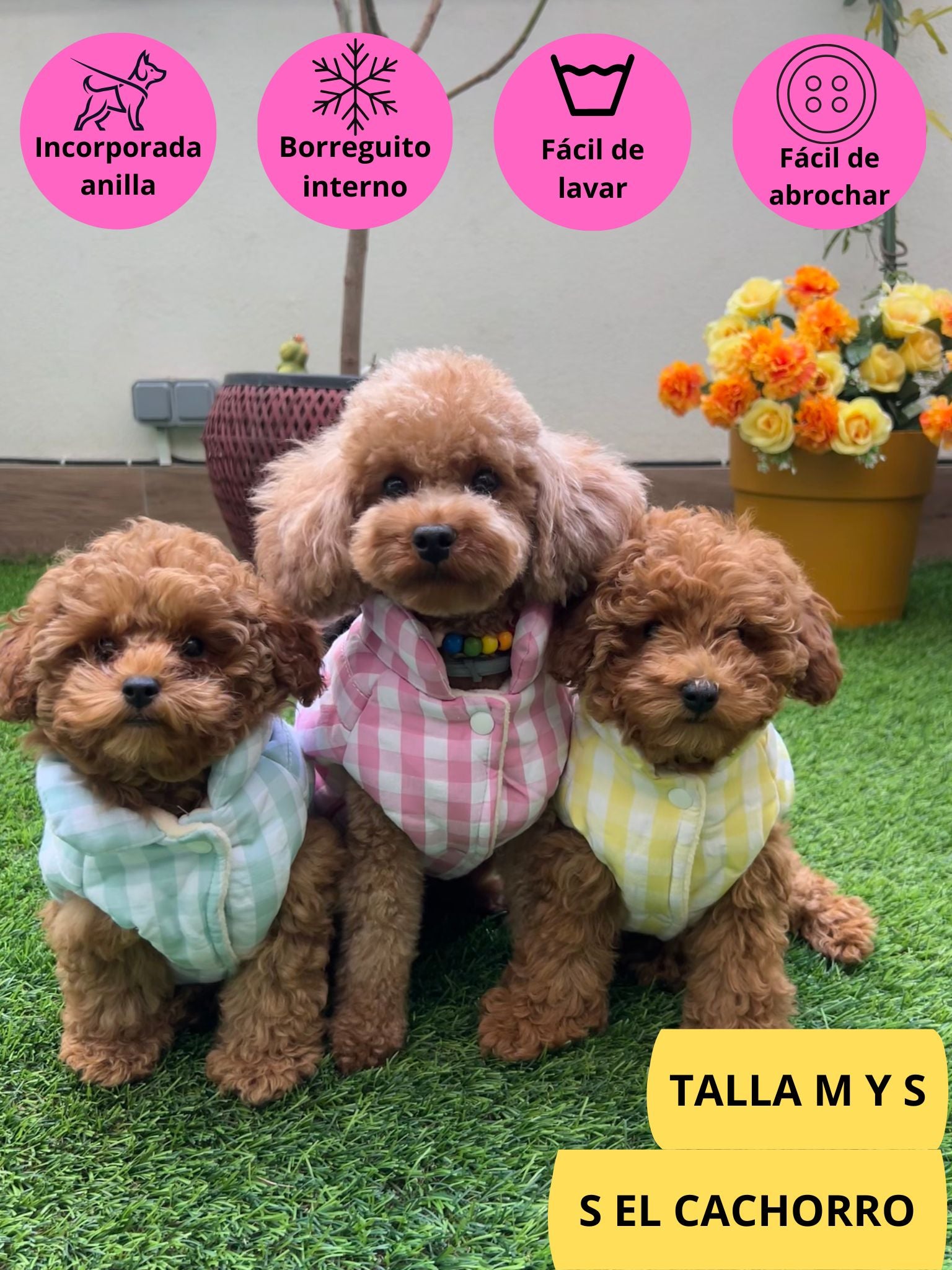 Abrigo vichy azul, amarrillo y rosa para perro de la marca Aribabi colocado en perro pequeño.