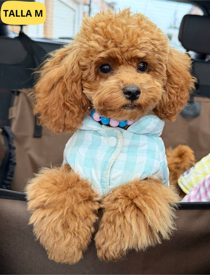 Abrigo vichy azul para perro de la marca Aribabi colocado en perro pequeño, caniche.