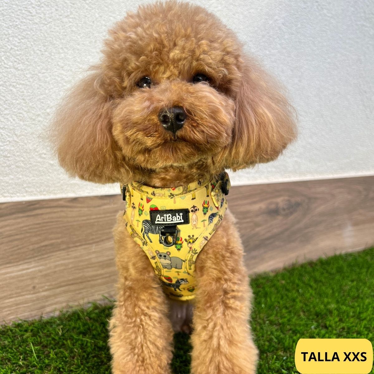 Arnés ajustable amarillo con dibujos de animales de la colección Kenia colocado en caniche.