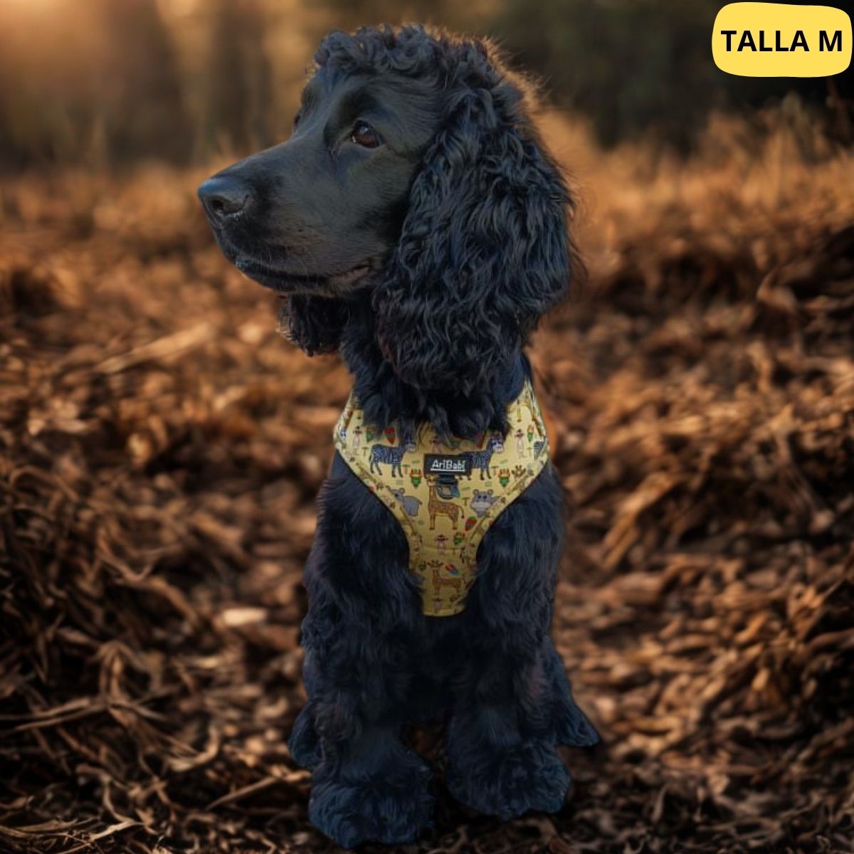 Arnés ajustable amarillo con dibujos de animales de la colección Kenia colocado en perro grande.