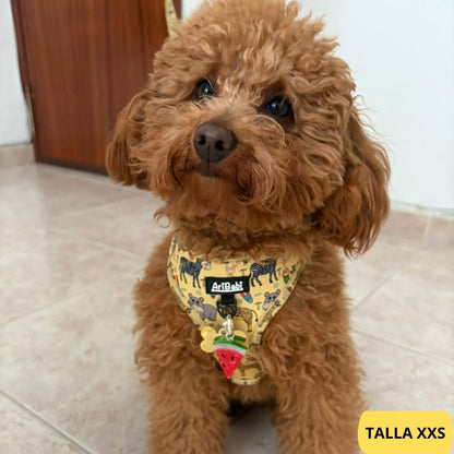 Arnés ajustable amarillo con dibujos de animales de la colección Kenia colocado en perro pequeño caniche.