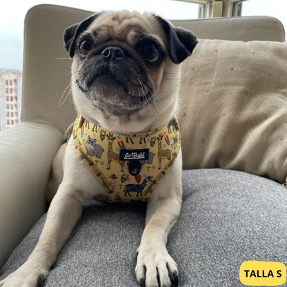 Arnés ajustable amarillo con dibujos de animales de la colección Kenia colocado en perro pug.