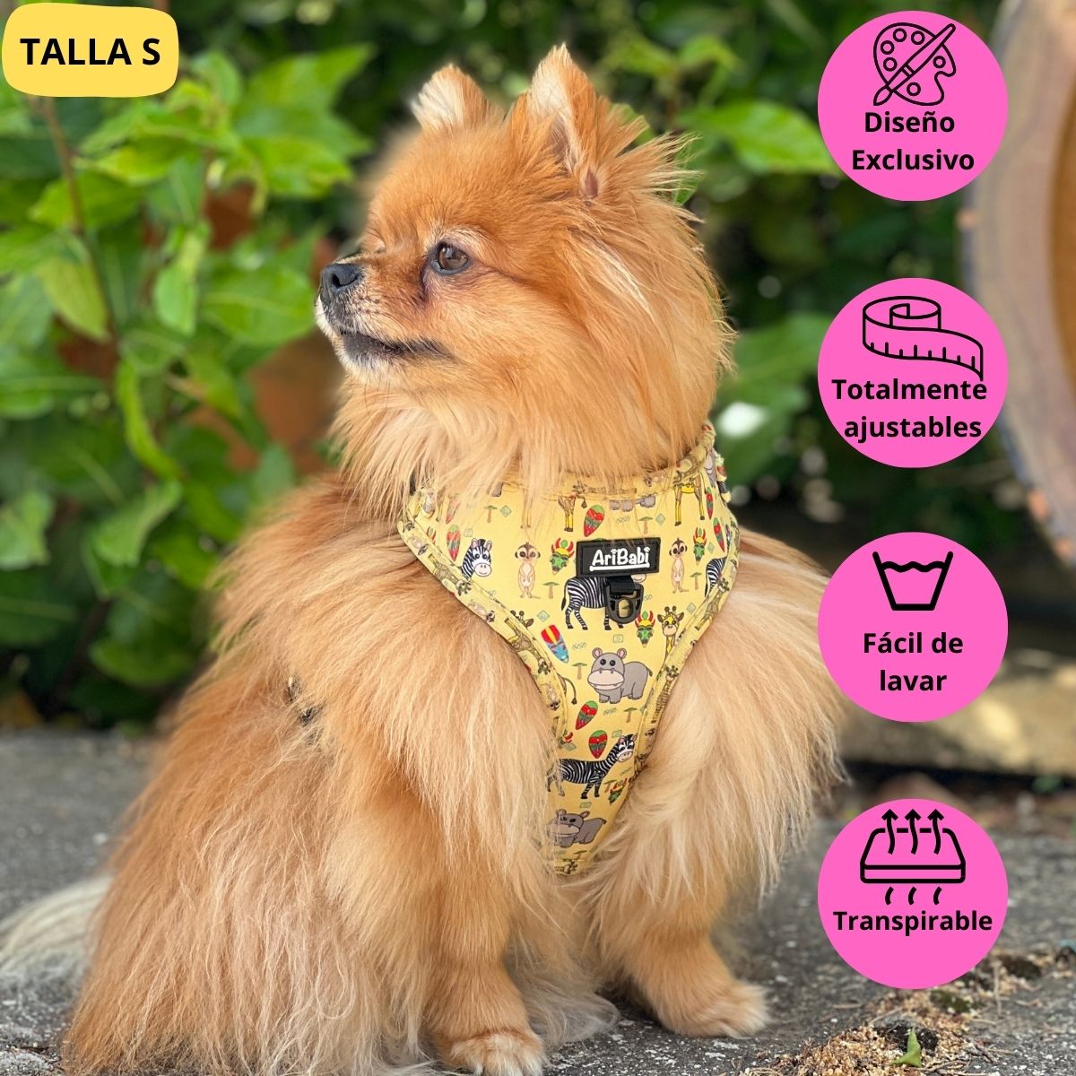 Arnés ajustable amarillo con dibujos de animales de la colección Kenia colocado en pomeranian