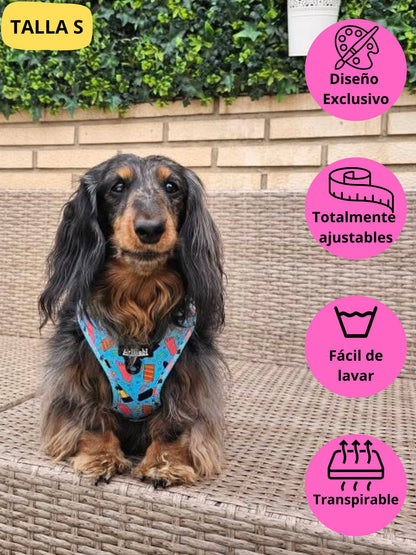 Arnés ajustable azul con dibujos de helados de la colección Frigopata colocado en perro teckel ideal para verano.