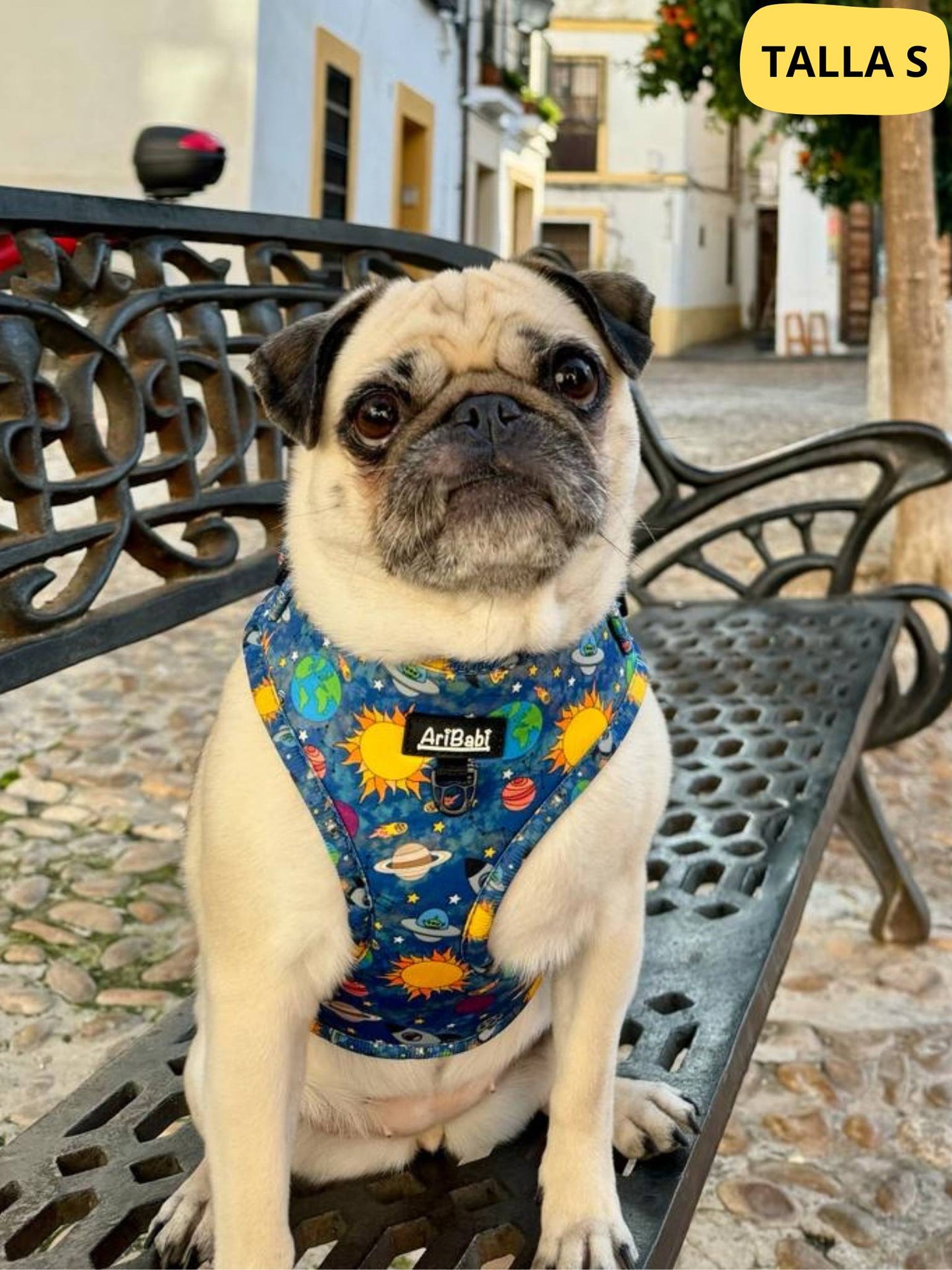 Arnés ajustable azul con dibujos de planetas de la colección Laika colocado en perro pug.