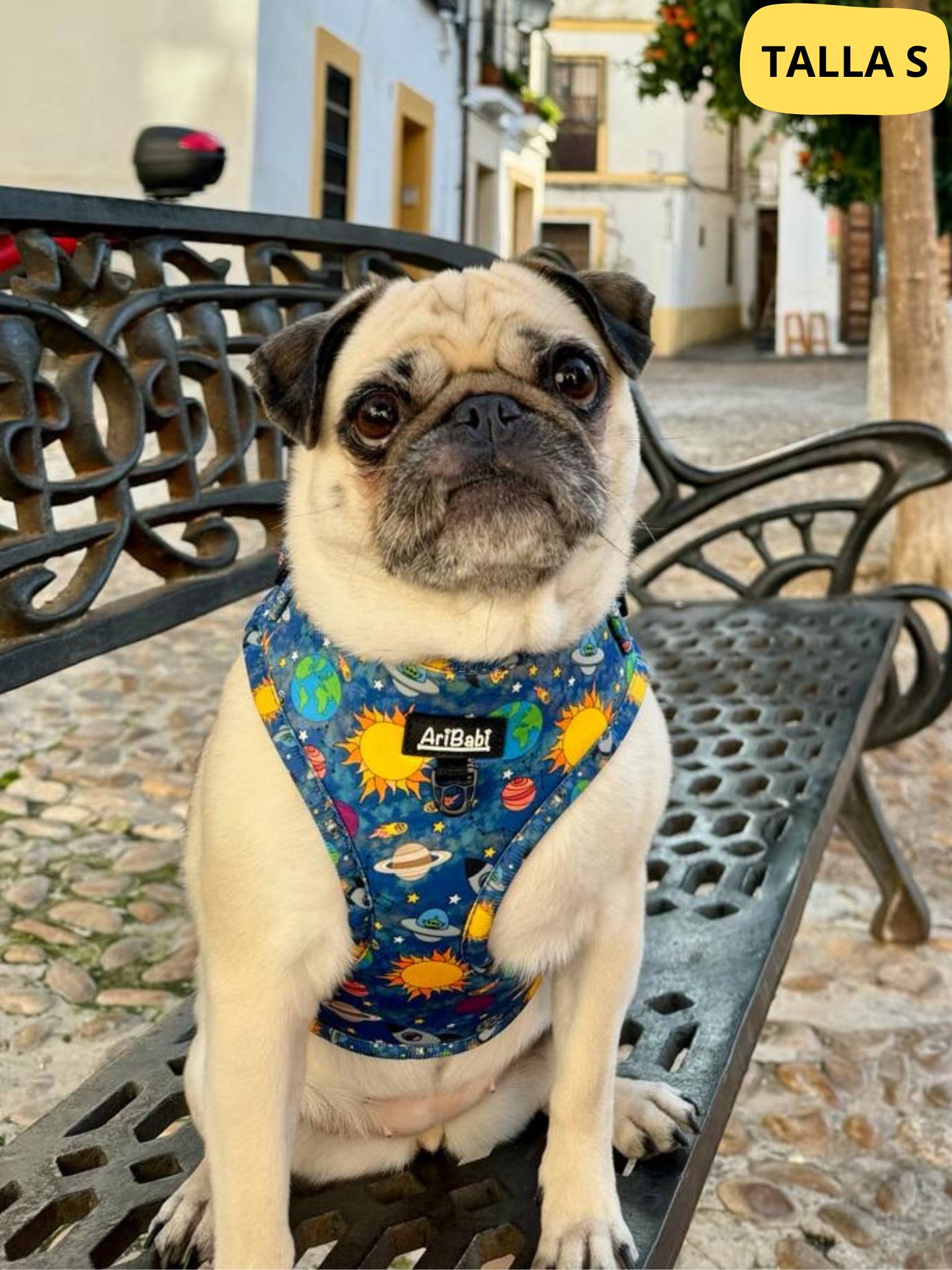 Arnés ajustable azul con dibujos de planetas de la colección Laika colocado en perro pug.