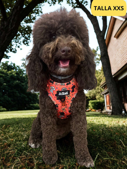 Arnés ajustable coral con dibujos de caniches de la colección Caniche colocado en perro caniche marrón.
