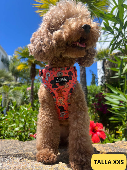 Arnés ajustable coral con dibujos de caniches de la colección Caniche colocado en perro caniche.