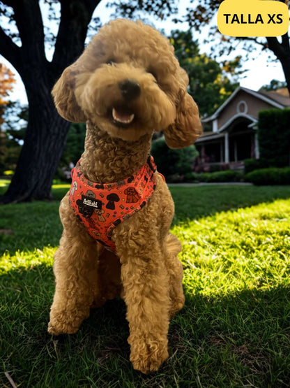 Arnés ajustable coral con dibujos de caniches de la colección Caniche colocado en perro pequeño.