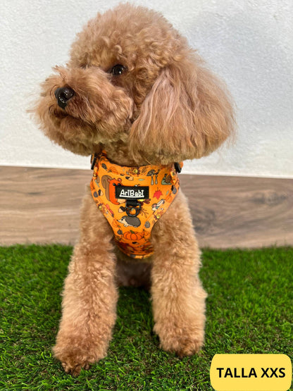 Arnés ajustable naranja con dibujos de animales de la colección Yosemite colocado en caniche.
