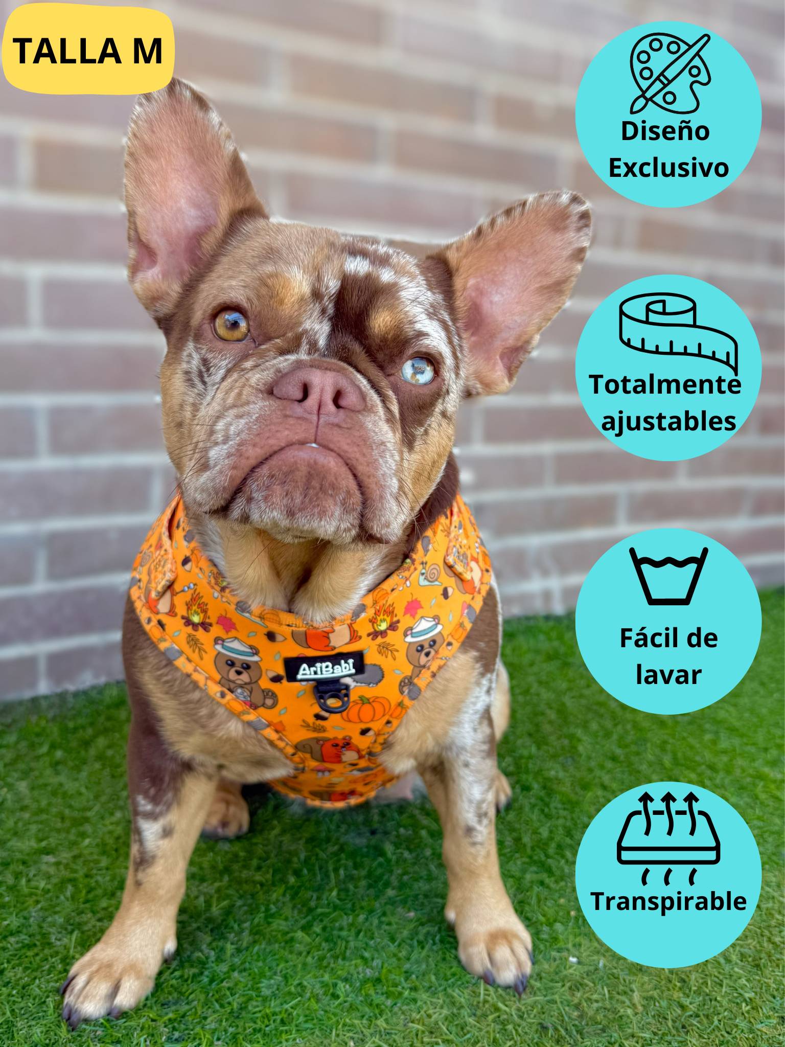 Arnés ajustable naranja con dibujos de animales de la colección Yosemite colocado en perro mediano.
