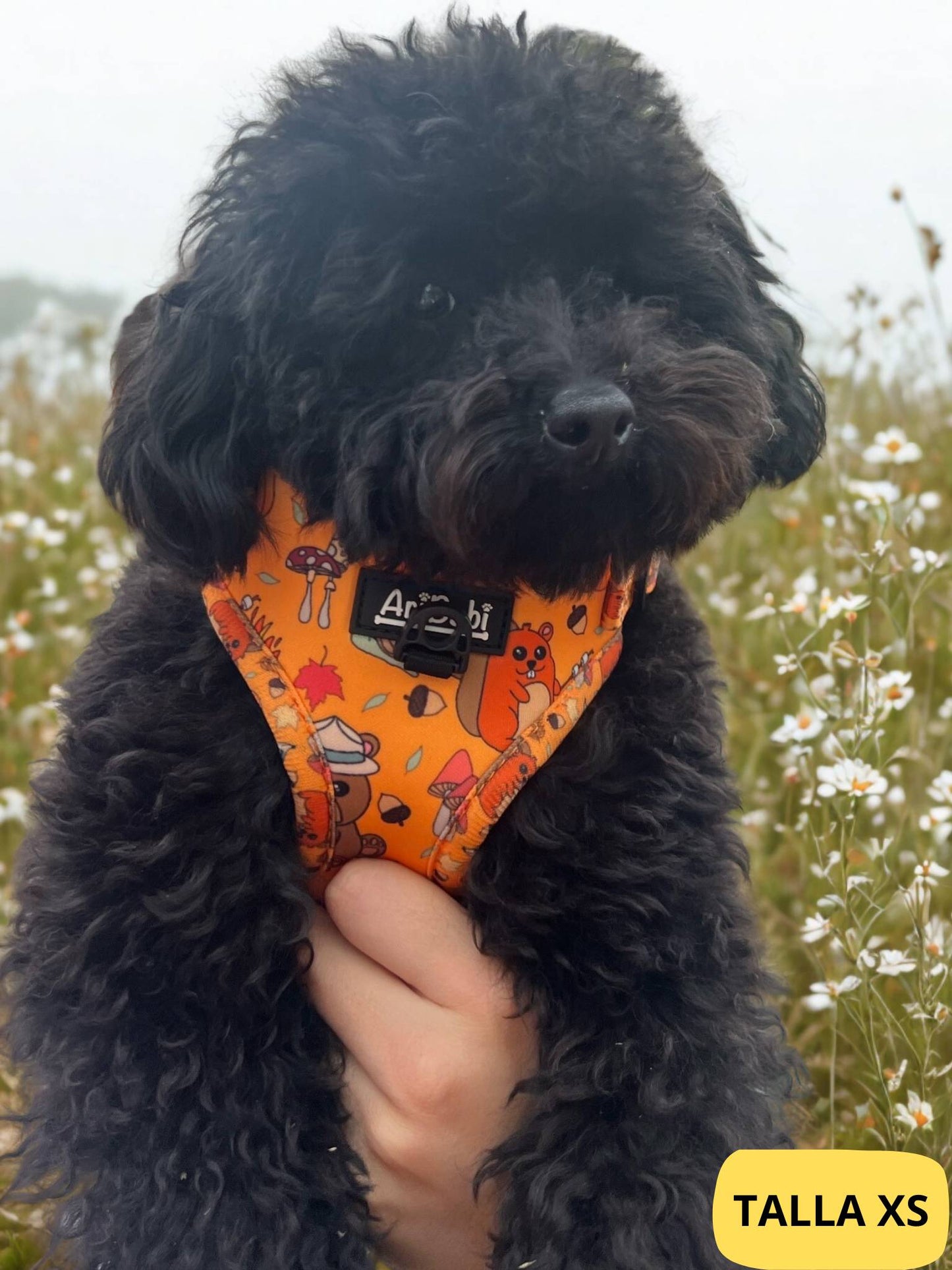 Arnés ajustable naranja con dibujos de animales de la colección Yosemite colocado en perro pequeño.