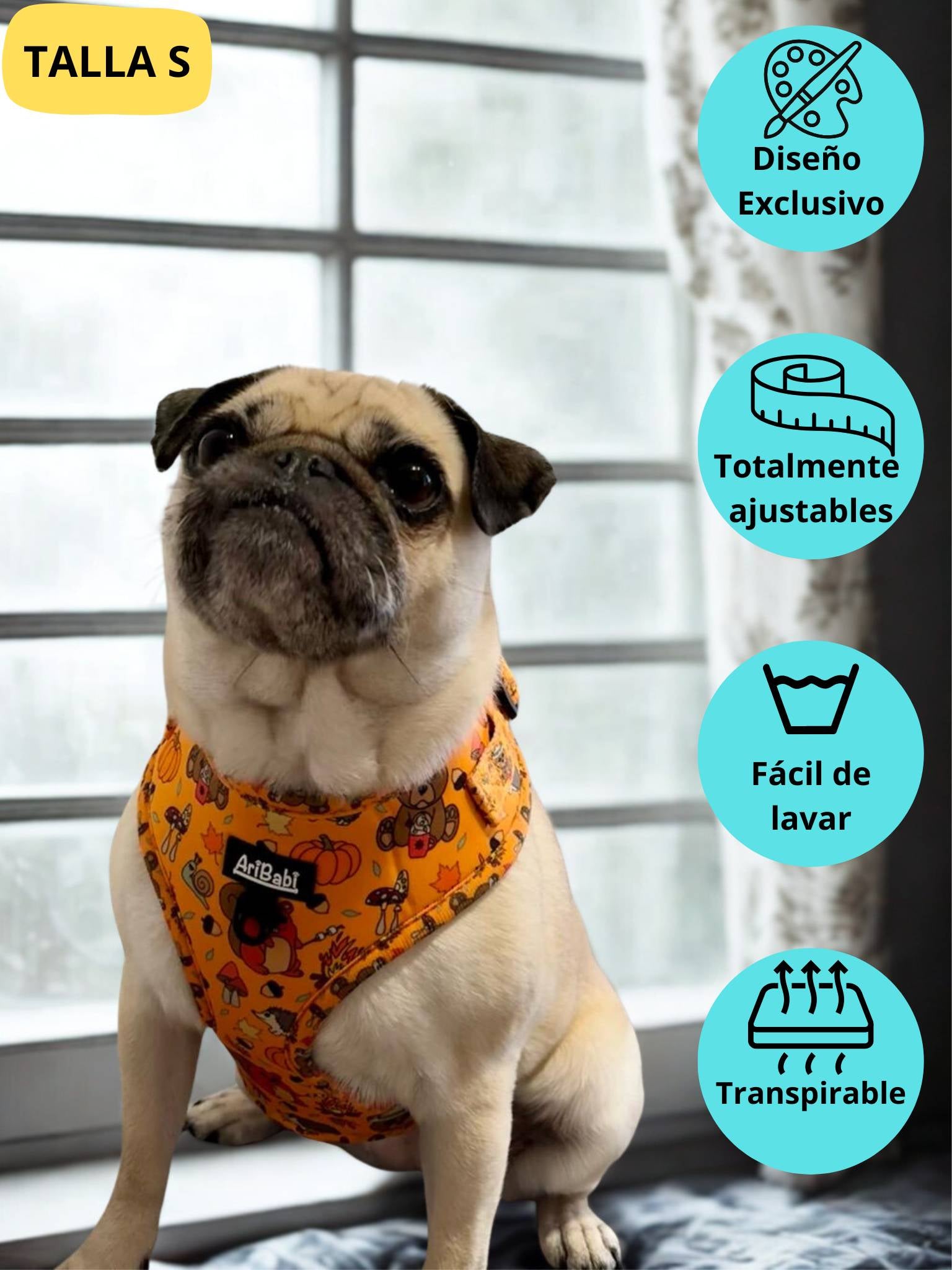 Arnés ajustable naranja con dibujos de animales de la colección Yosemite colocado en perro pug.