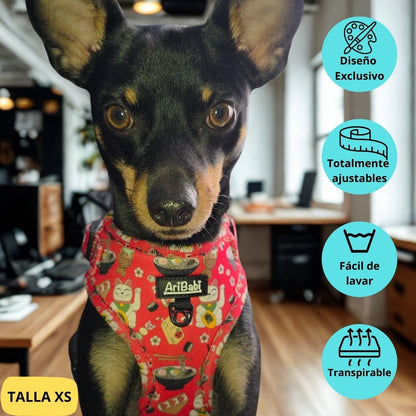 Arnés ajustable rojo con dibujos de sushi de la colección Tokio colocado en perro pequeño pincher.