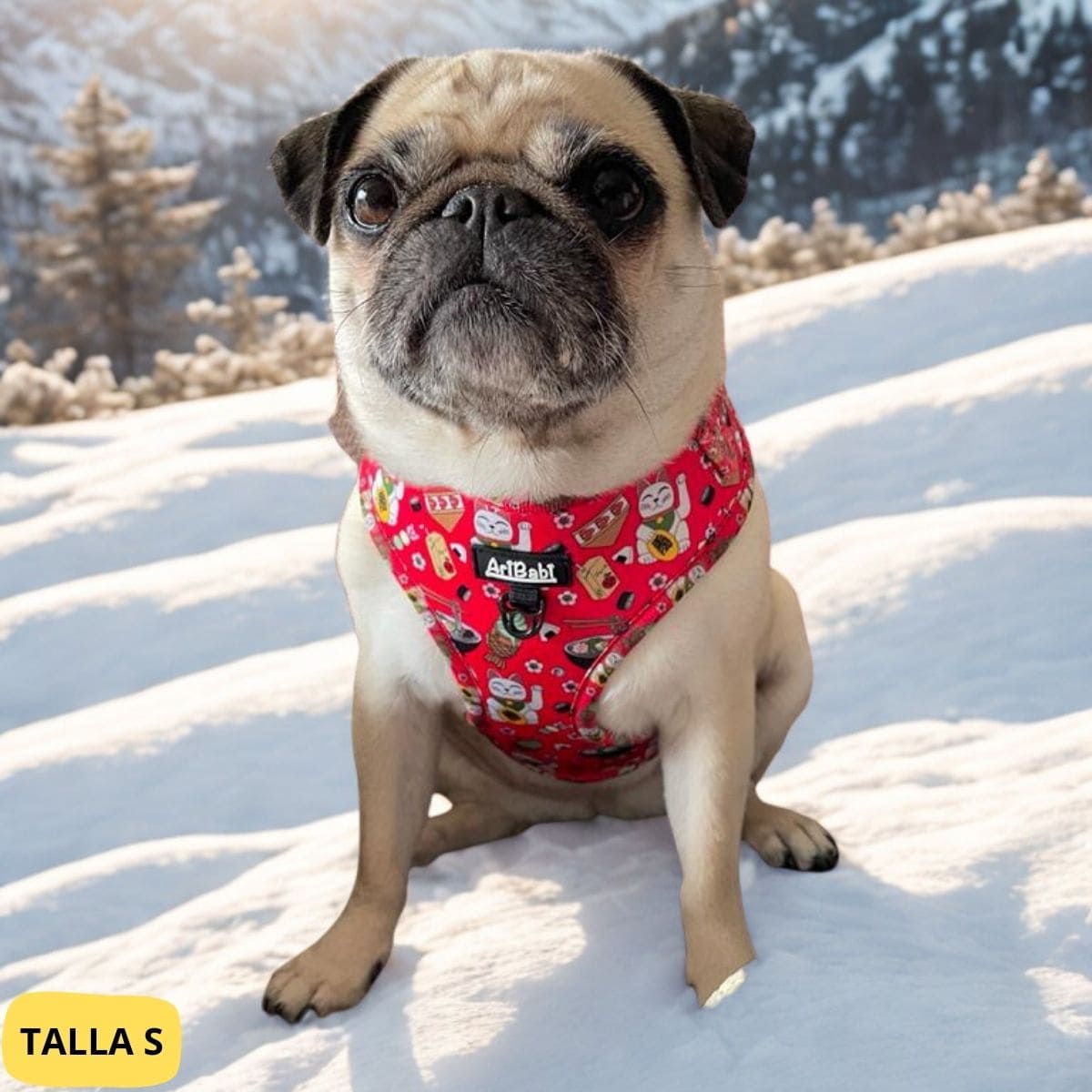 Arnés ajustable rojo con dibujos de sushi de la colección Tokio colocado en perro pug.