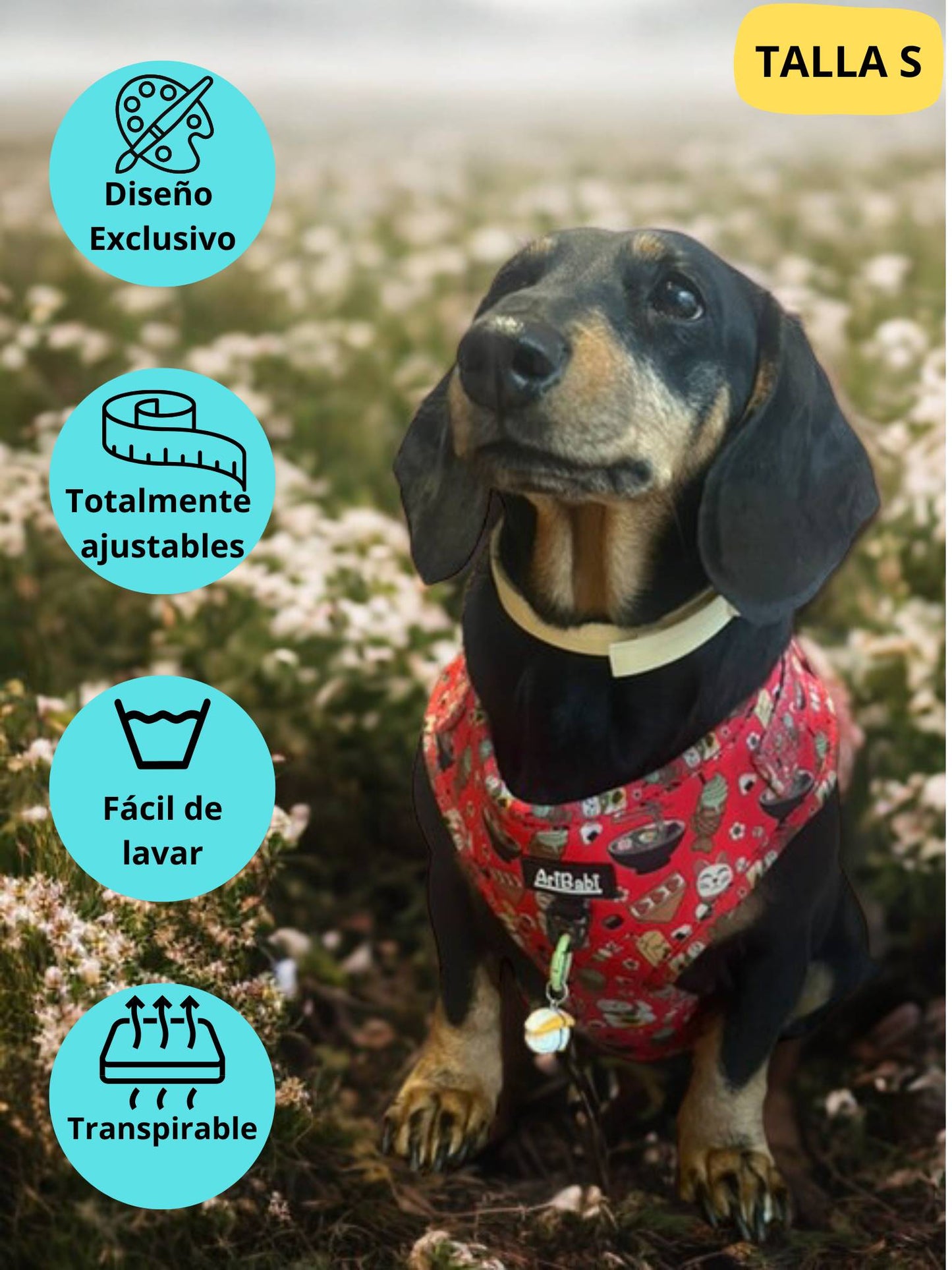 Arnés ajustable rojo con dibujos de sushi de la colección Tokio colocado en perro teckel.