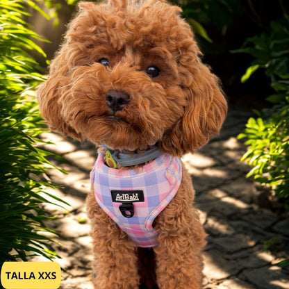 Arnés ajustable rosa con dibujos de cuadros de la colección Vichy colocado en caniche.