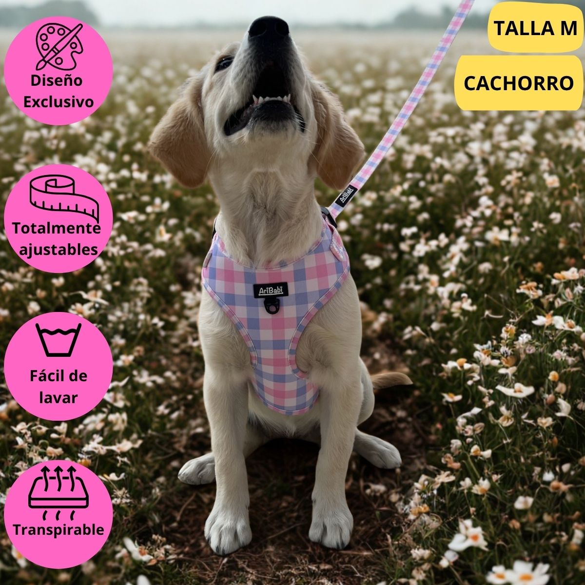 Arnés ajustable rosa con dibujos de cuadros de la colección Vichy colocado en perro grande.