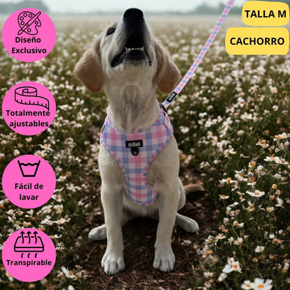 Arnés ajustable rosa con dibujos de cuadros de la colección Vichy colocado en perro grande.