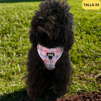 Arnés ajustable rosa con dibujos de cuadros de la colección Vichy colocado en perro pequeño.