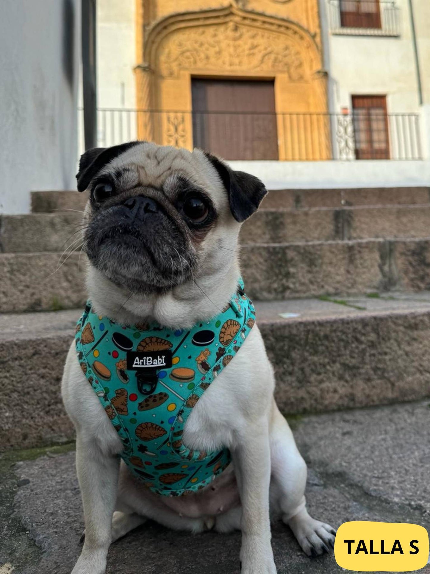 Arnés ajustable verde con dibujos de galletas de la colección Cookies colocado en perro mediano pug.