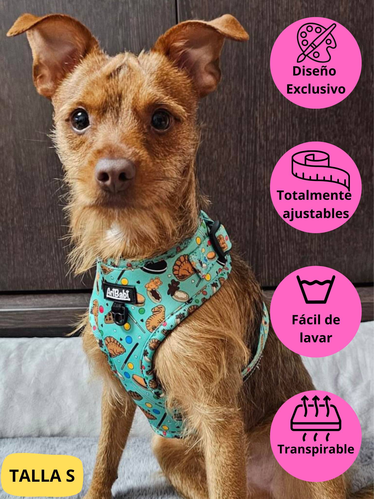 Arnés ajustable verde con dibujos de galletas de la colección Cookies colocado en perro mediano.