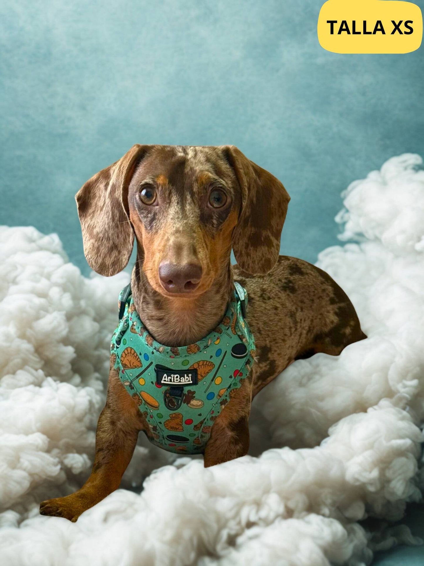 Arnés ajustable verde con dibujos de galletas de la colección Cookies colocado en teckel.