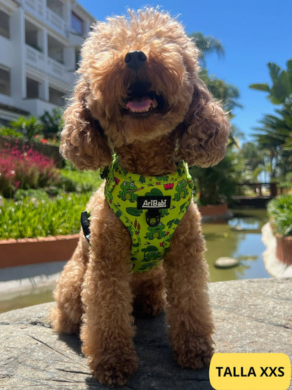 Arnés ajustable verde con dibujos de ranas de la colección Amazonas colocado en perro caniche.
