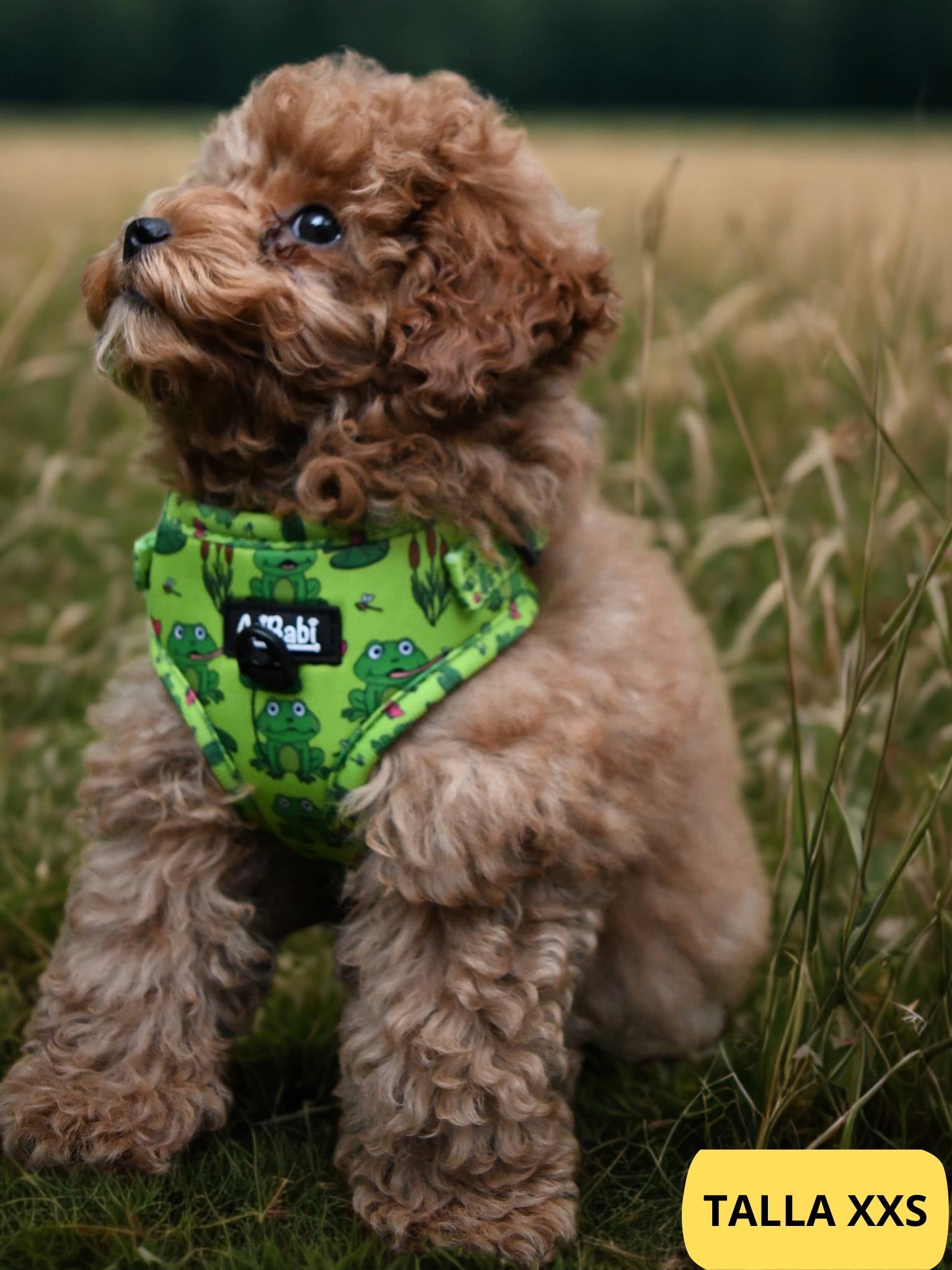 Arnés ajustable verde con dibujos de ranas de la colección Amazonas colocado en perro cachorro.