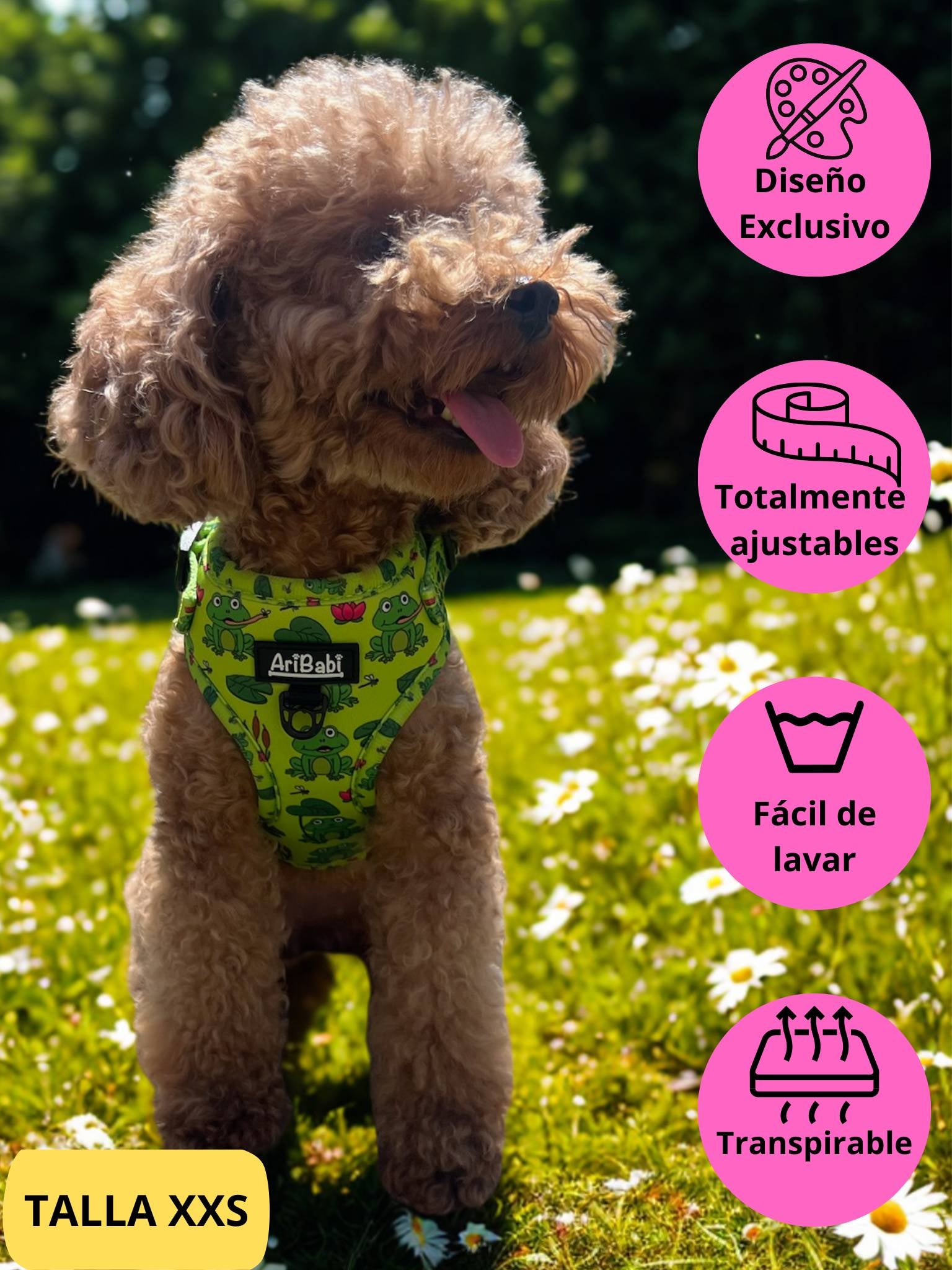 Arnés ajustable verde con dibujos de ranas de la colección Amazonas colocado en perro caniche.