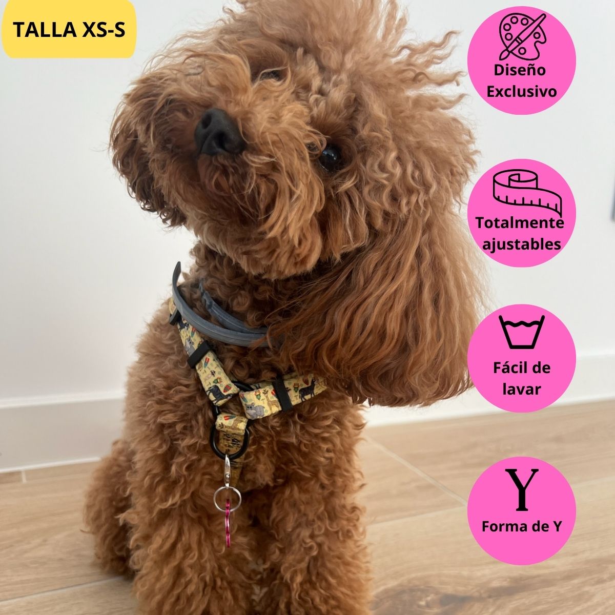 Arnés clásico ajustable amarillo con dibujos de animales de la colección Kenia colocado en caniche.