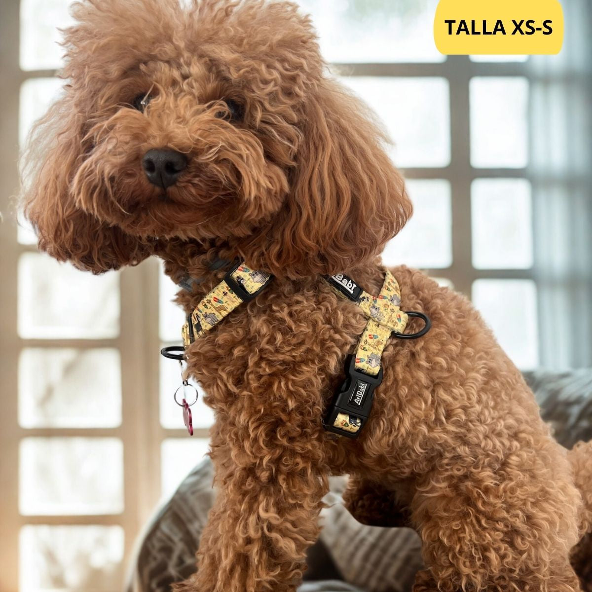 Arnés clásico ajustable amarillo con dibujos de animales de la colección Kenia colocado en perro pequeño.