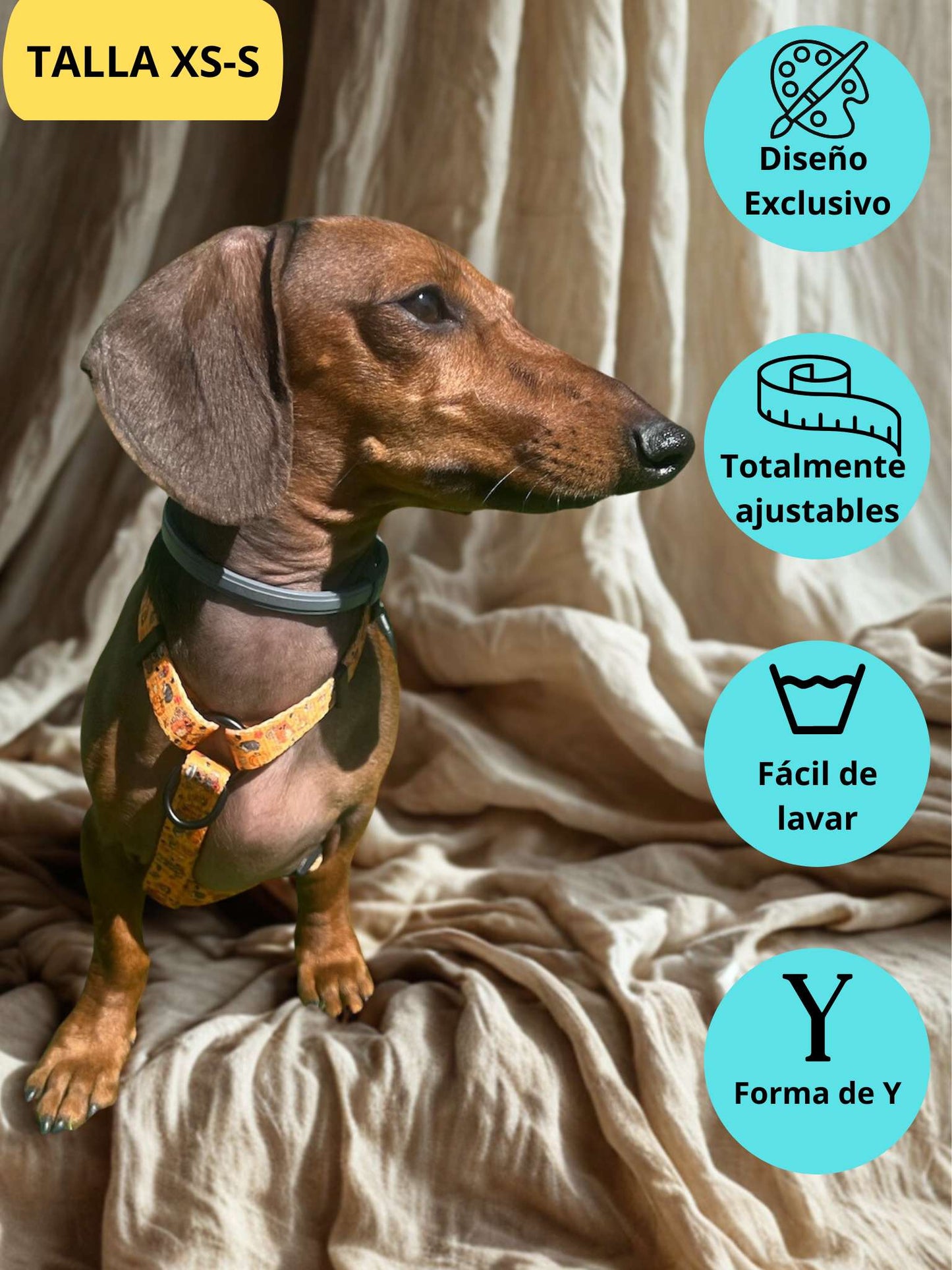 Arnés clásico ajustable naranja con dibujos de animales de la colección Yosemite colocado en perro pequeño teckel.
