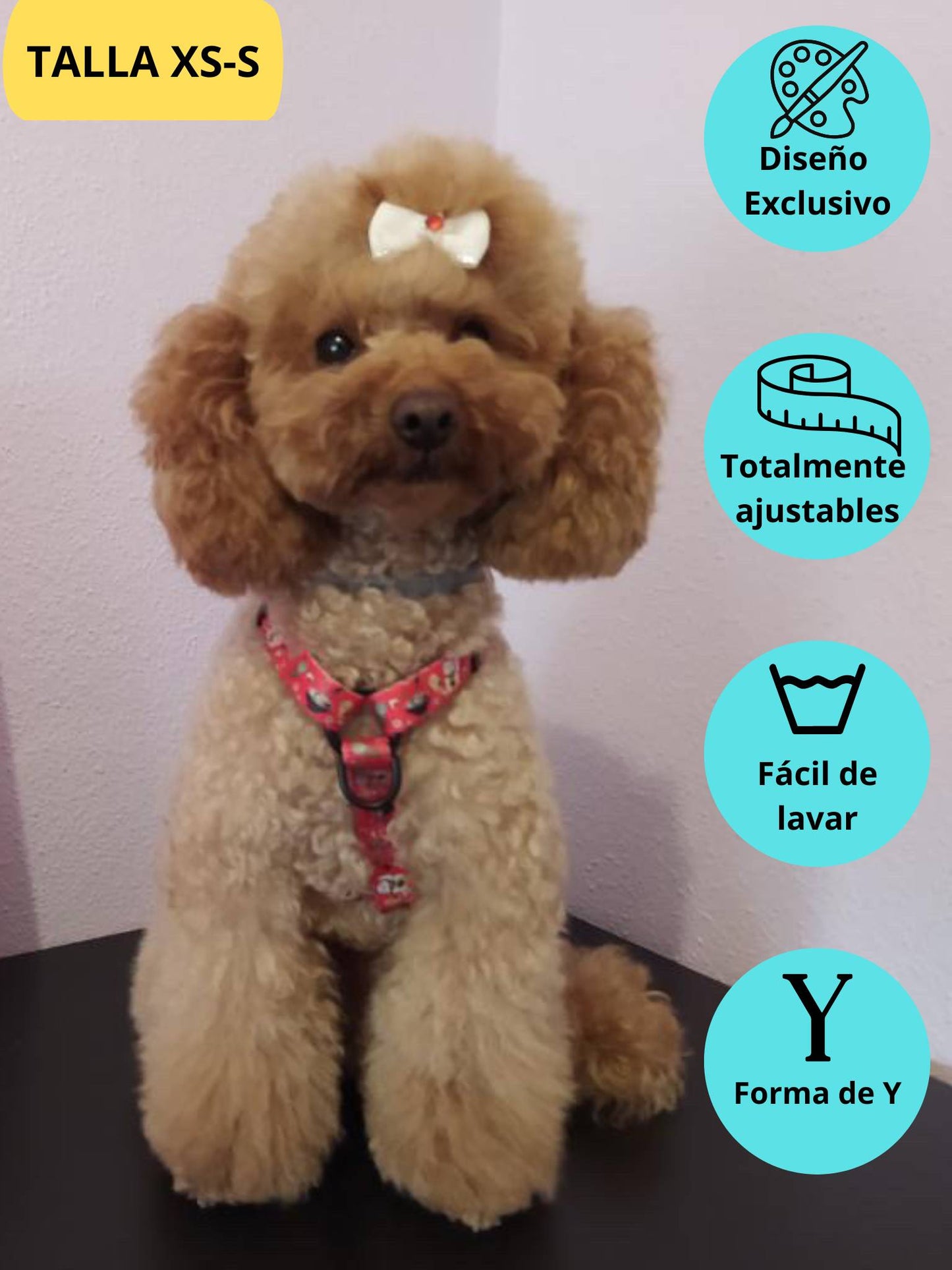 Arnés clásico ajustable rojo con dibujos de sushi de la colección Tokio colocado en perro pequeño caniche.