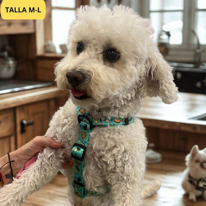 Arnés clásico ajustable verde con dibujos de galletas de la colección Cookies colocado en perro pequeño.