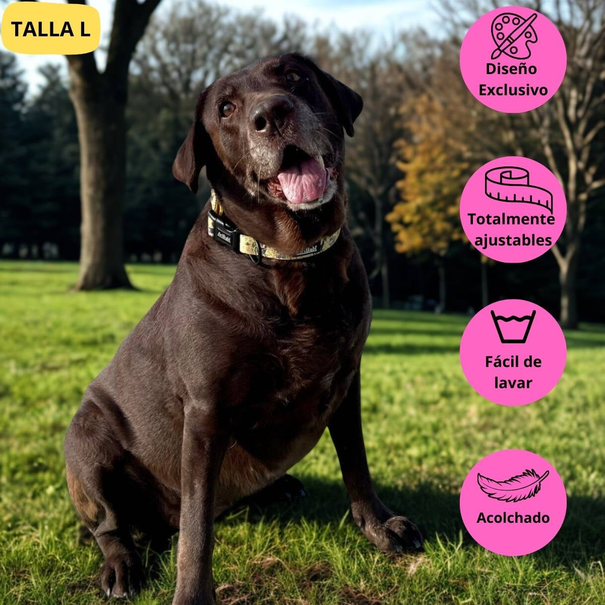 Collar ajustable amarillo con dibujos de animales de la colección Kenia colocado en perro grande labrador.