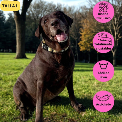 Collar ajustable amarillo con dibujos de animales de la colección Kenia colocado en perro grande labrador.