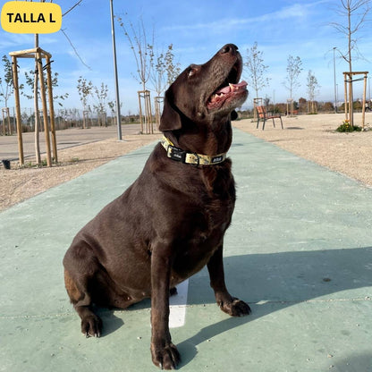 Collar ajustable amarillo con dibujos de animales de la colección Kenia colocado en perro grande.