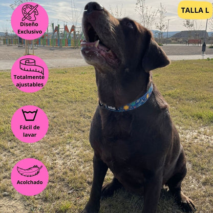 Collar ajustable azul con dibujos de planetas de la colección Laika colocado en perro grande labrador.