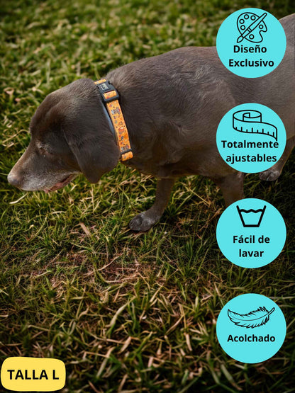 Collar ajustable naranja con dibujos de animales de la colección Yosemite colocado en perro grande labrador.