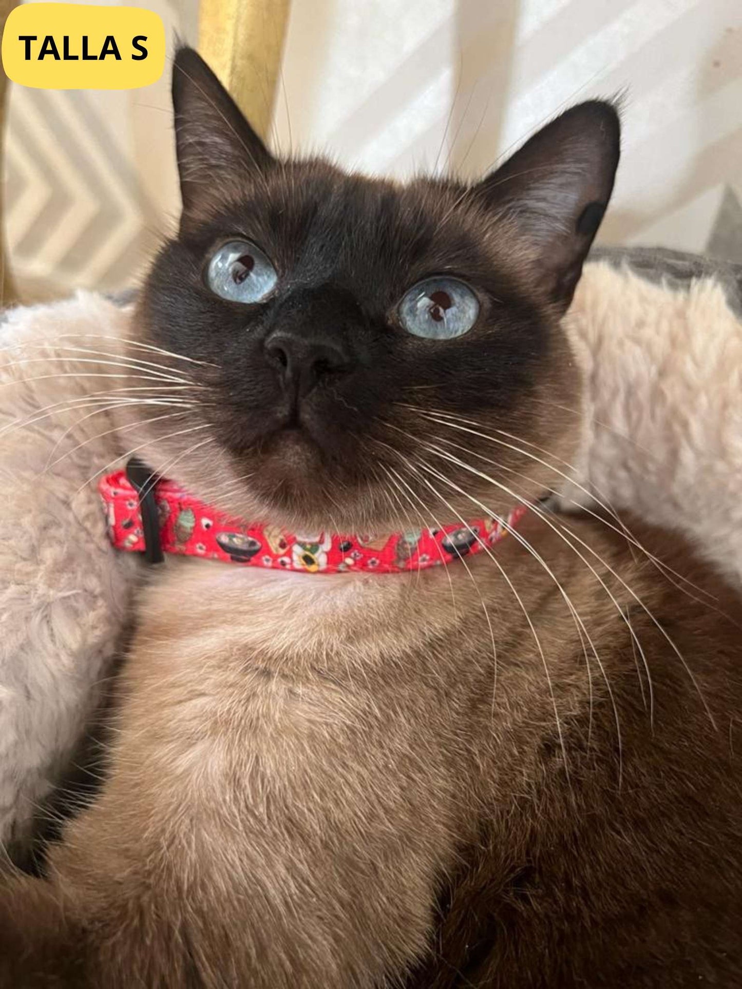 Collar ajustable rojo con dibujos de sushi de la colección Tokio colocado en gato.