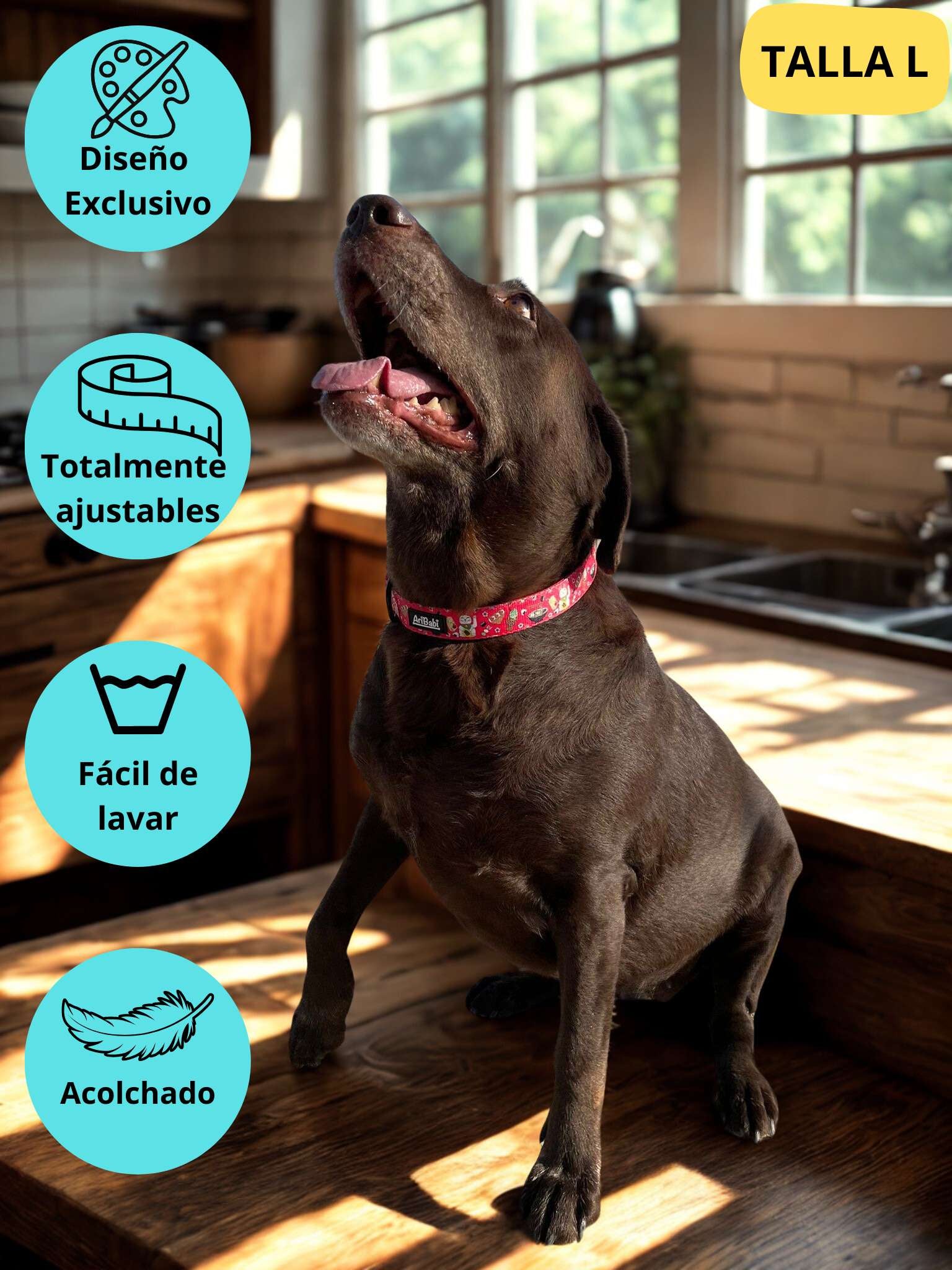 collar-ajustable-rojo-sushi-tokio-perro grande labrador.