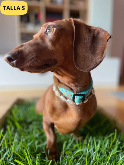 Collar ajustable verde con dibujos de galletas de la colección Cookies colocado en perro teckel.