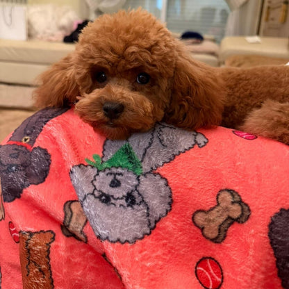 Manta suave coral con dibujos de caniches de la colección Caniche con un caniche perrito tumbado encima.