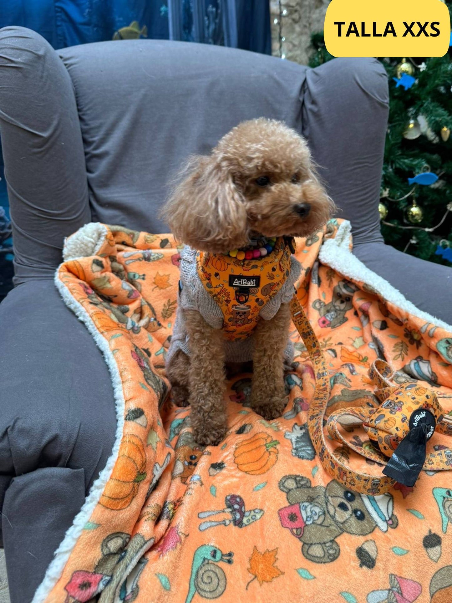 Manta suave naranja con dibujos de animales de la colección Yosemite con caniche sentado con su arnés ajustable a juego.