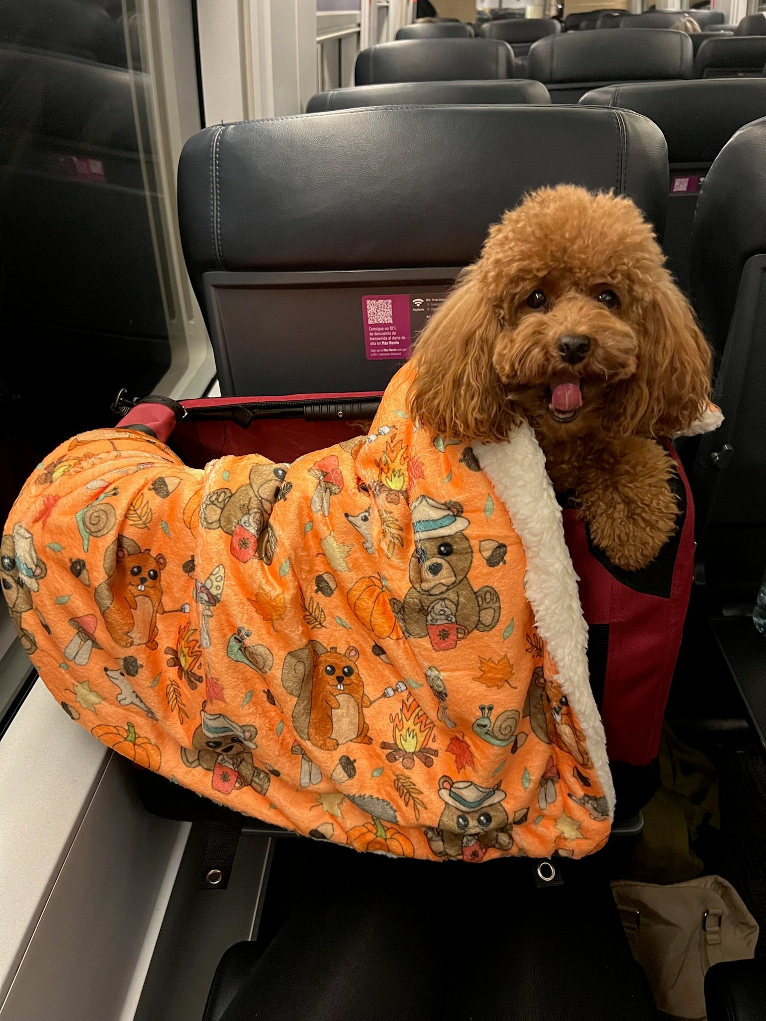 Manta suave naranja con dibujos de animales de la colección Yosemite con perro caniche.