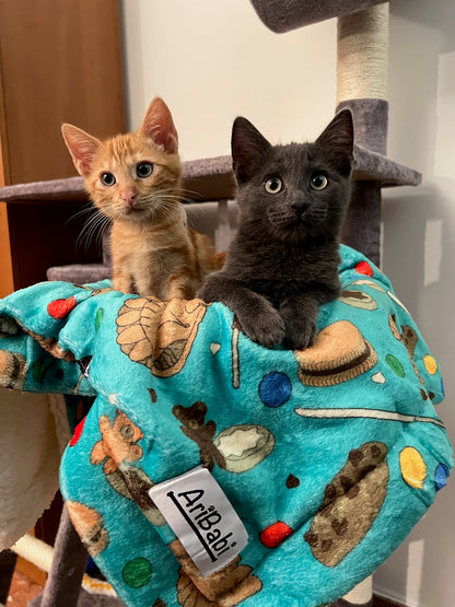 Manta suave verde con dibujos de galletas de la colección Cookies con gatitos tumbado.